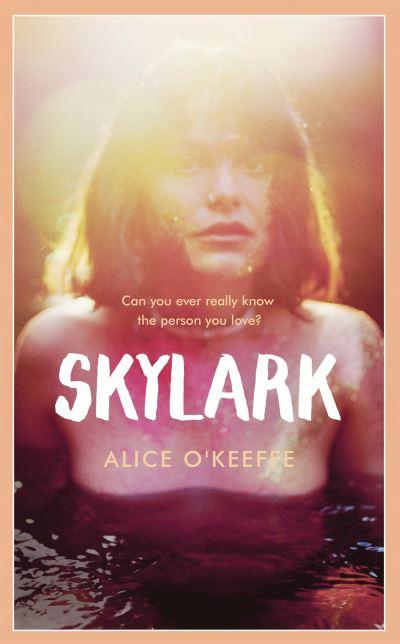 Skylark H/B