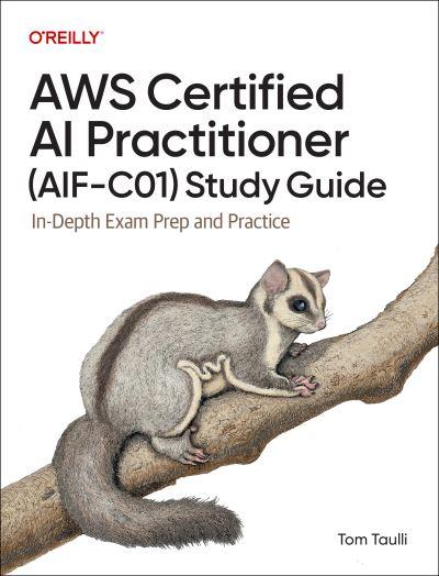 AWS Certified AI Practitioner Study Guide