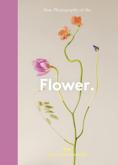 New Photography of the Flower