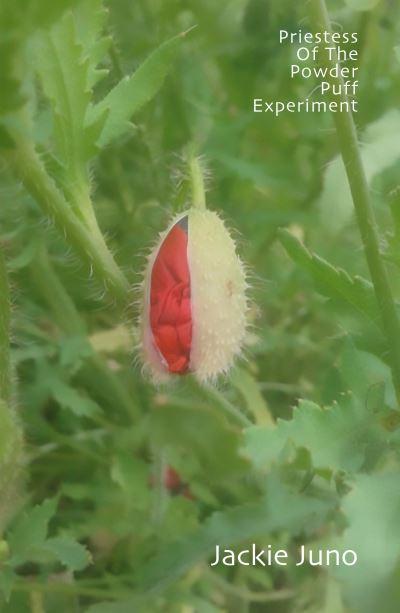 Priestess of the Powder Puff Experiment