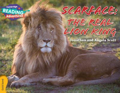 Scarface - the Real Lion King