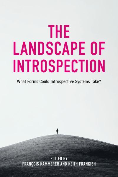 The Landscape of Introspection