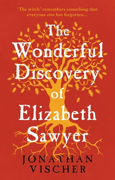 The Wonderful Discovery of Elizabeth Sawyer