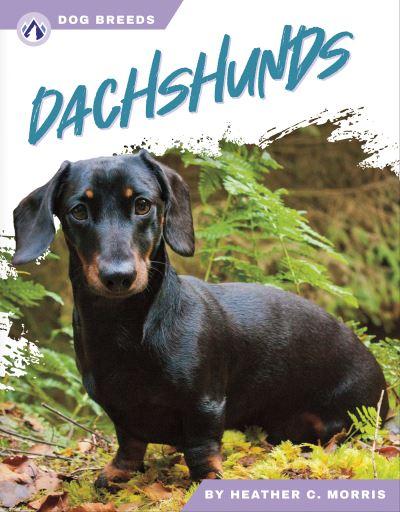 Dachshunds. Hardcover