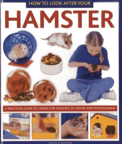 How To Look After Your Hamster