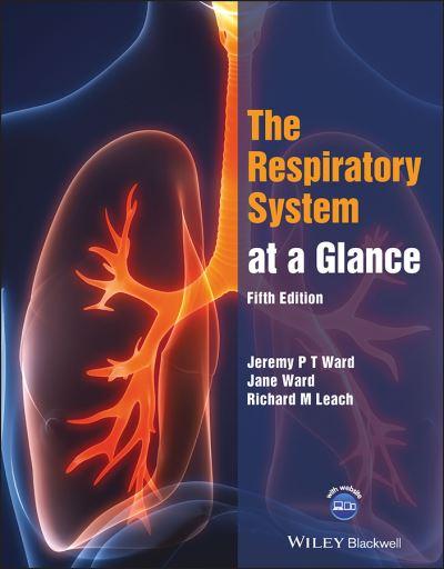 The Respiratory System At a Glance