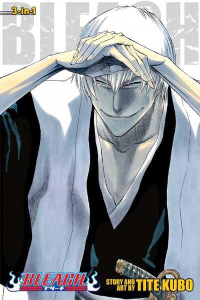 Bleach. Volumes 19-20-21