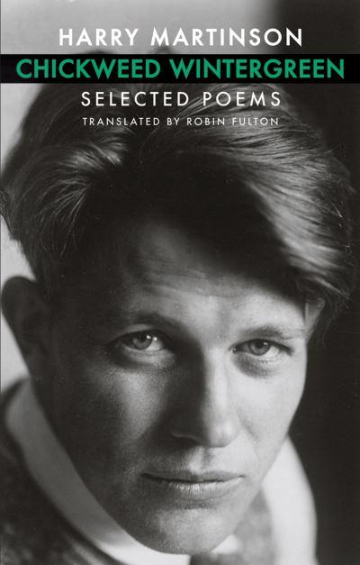 Chickweek Wintergreen