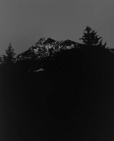 The Living Mountain - Awoiska Van Der Molen