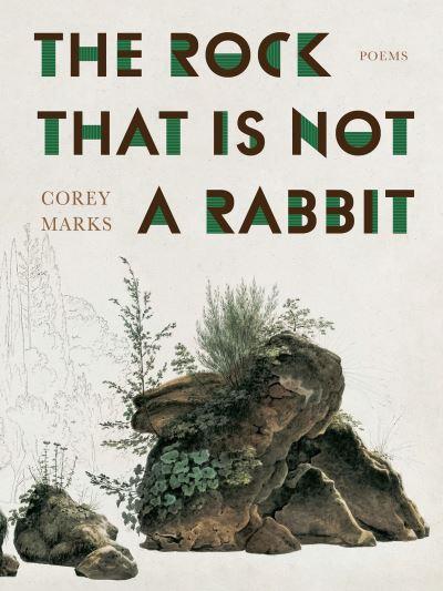 The Rock That Is Not a Rabbit