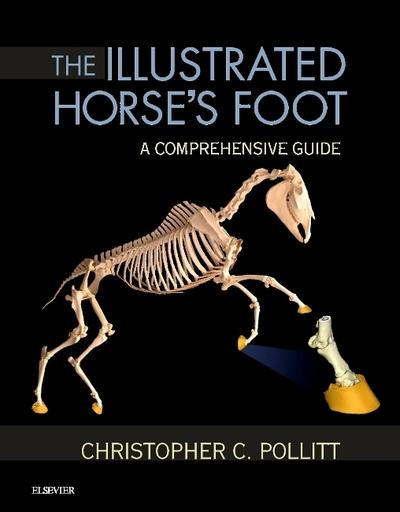 The Illustrated Horse's Foot