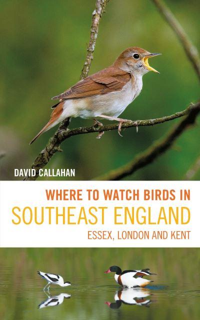 Where To Watch Birds in Southeast England