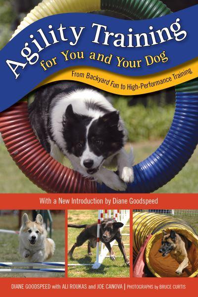 Agility Training For You and Your Dog
