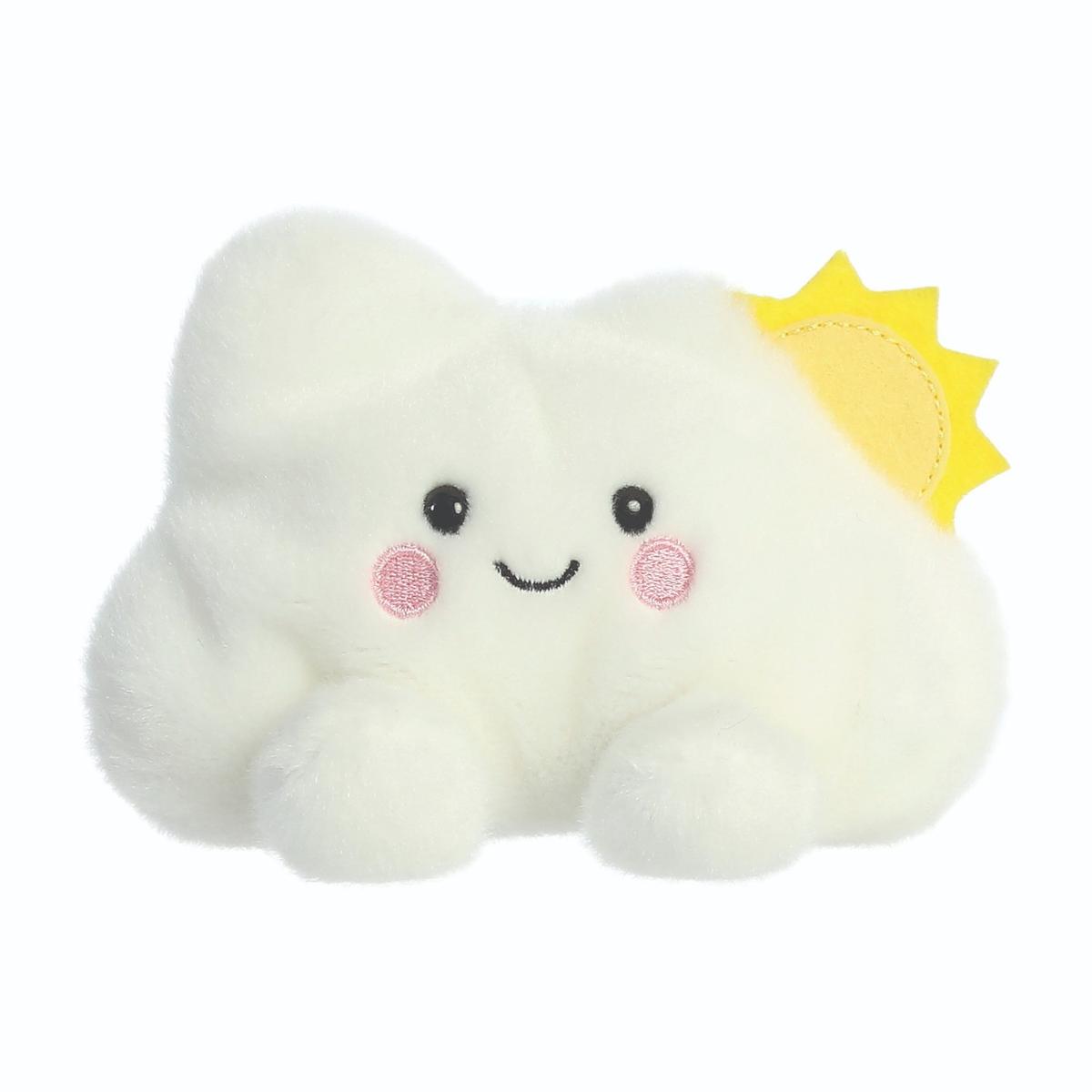 PALM PALS Summer Cloud