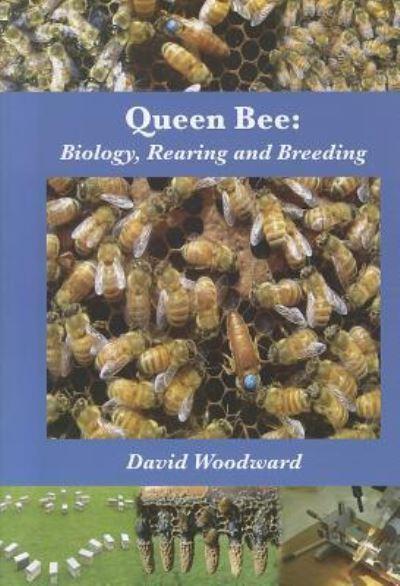 Queen Bee
