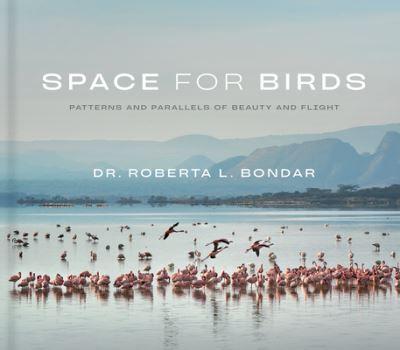 Space For Birds