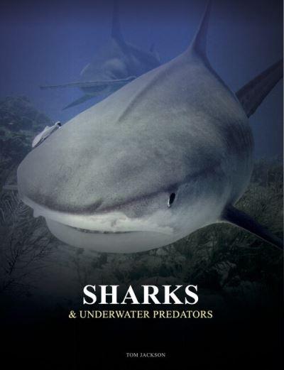 Sharks &#38; Underwater Predators
