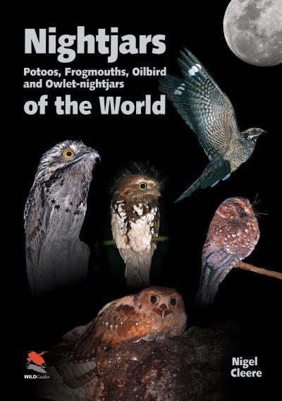 Nightjars