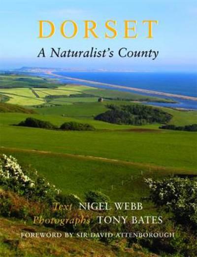 Dorset