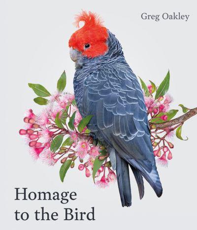 Homage To the Bird