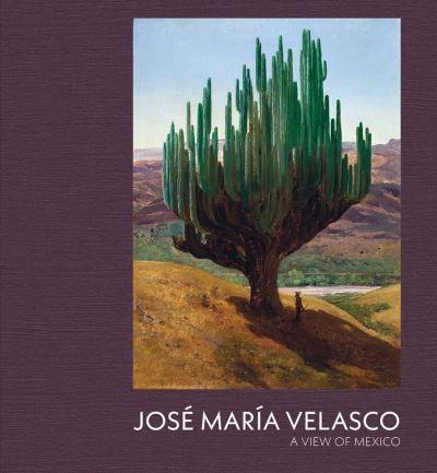 José María Velasco - a View of Mexico