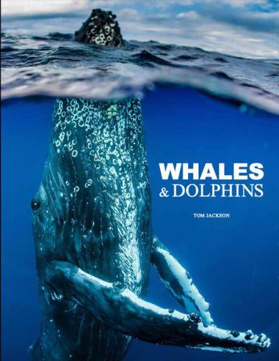 Whales &#38; Dolphins