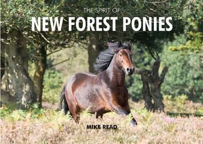 The Spirit of New Forest Ponies