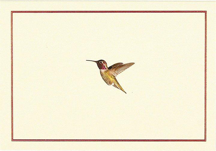 Peter Pauper 14 Pack Note Cards  Hummingbird Flight