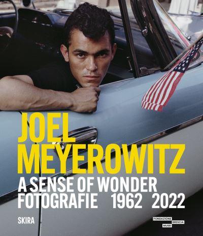 Joel Meyerowitz