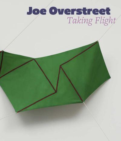 Joe Overstreet - Taking Flight