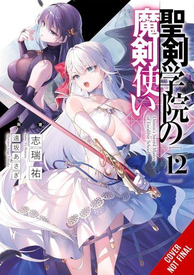 The Demon Sword Master of Excalibur Academy. Vol. 12