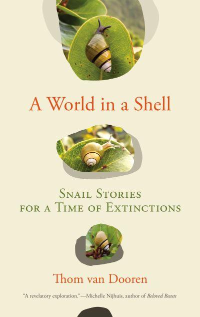 World in a Shell, A