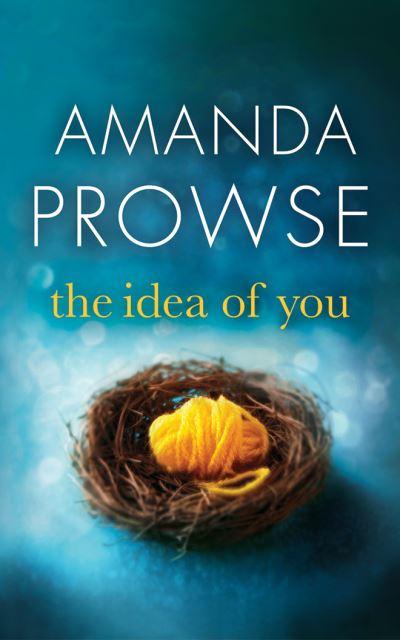 The Idea of You