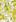 Peter Pauper Small Amalfi Lemons Journal
