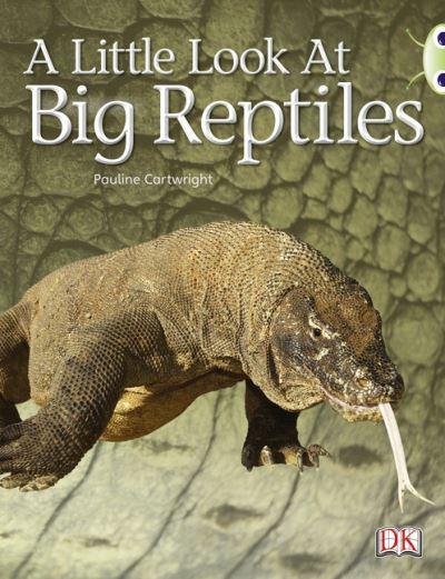 Bug Club Non-Fiction Blue (KS1) B/1B A Little Look of Reptiles 6-Pack