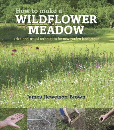 How To Make a Wildflower Meadow