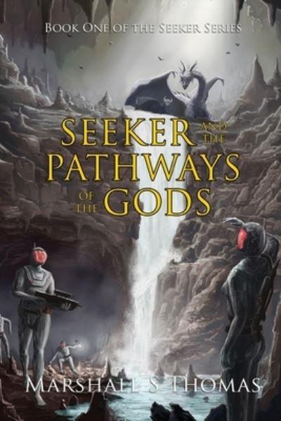 Seeker and the Pathways of the Gods