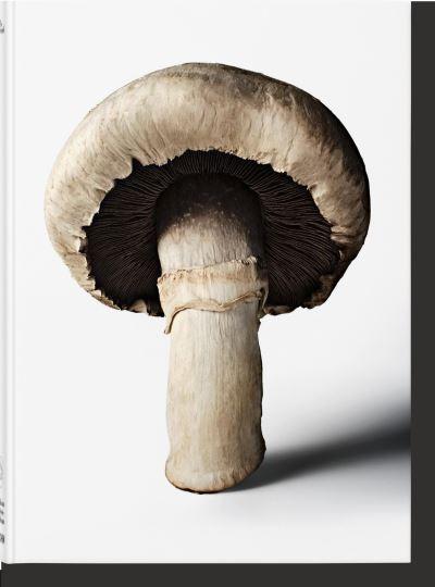 The Gourmand's Mushroom