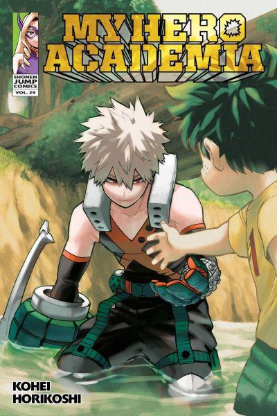 My Hero Academia. 29