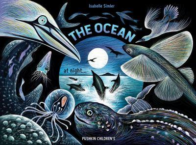 The Ocean At Night