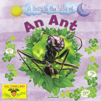A Day in the Life of an Ant
