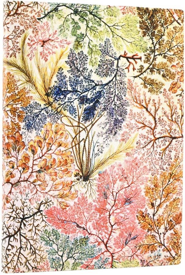 Paperblank William Kilburn Anemone Lined Midi Softcover Flex