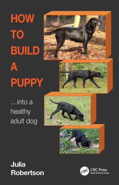 How To Build a Puppy Into a Healthy Adult Dog