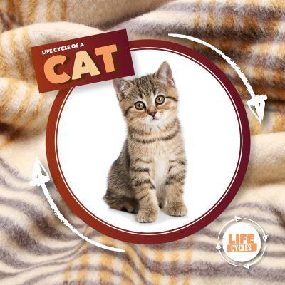 Life Cycle of a Cat