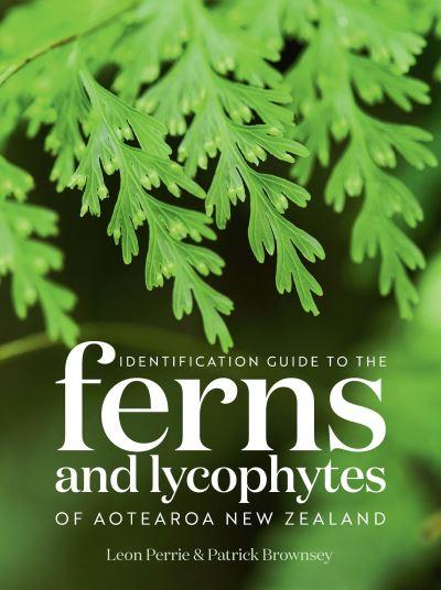 Identification Guide To the Ferns and Lycophytes of Aotearoa New Zealand