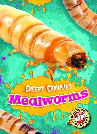 Mealworms