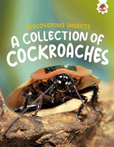 A Collection of Cockroaches