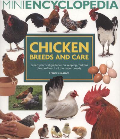Chicken Breeds and Care