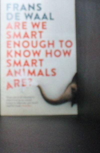 Are We Smart Enough To Know How Smart Animals Are?