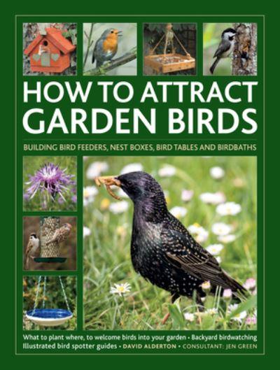 How To Attract Garden Birds